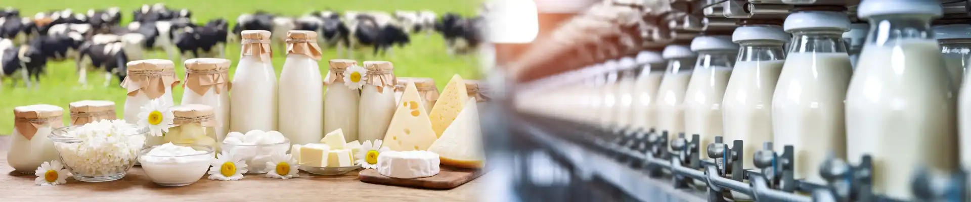 Private Label Dairy Products Producers