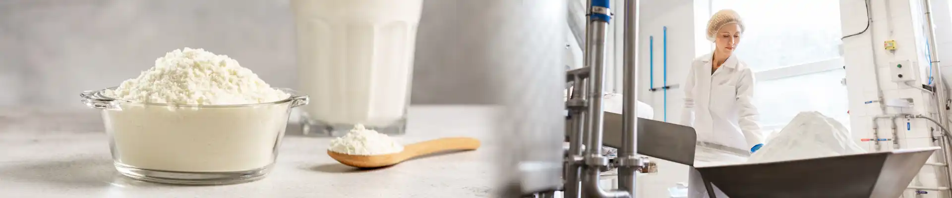 Whole Milk Powder Producers