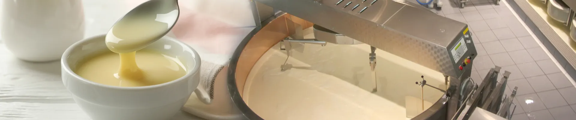Condensed Milk Manufacturers