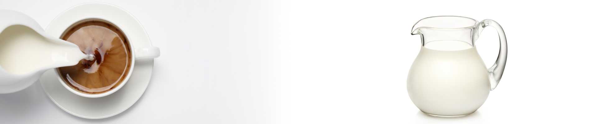 Non Dairy Creamer Manufacturer